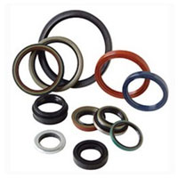 Oil Seals